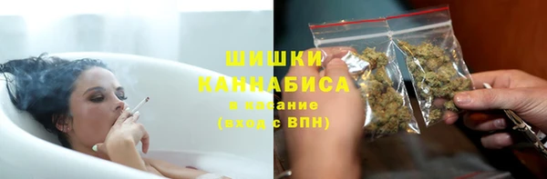 индика Майский