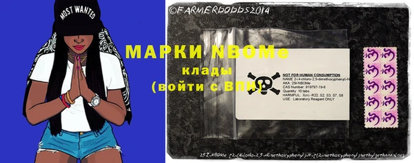 гидра Магас